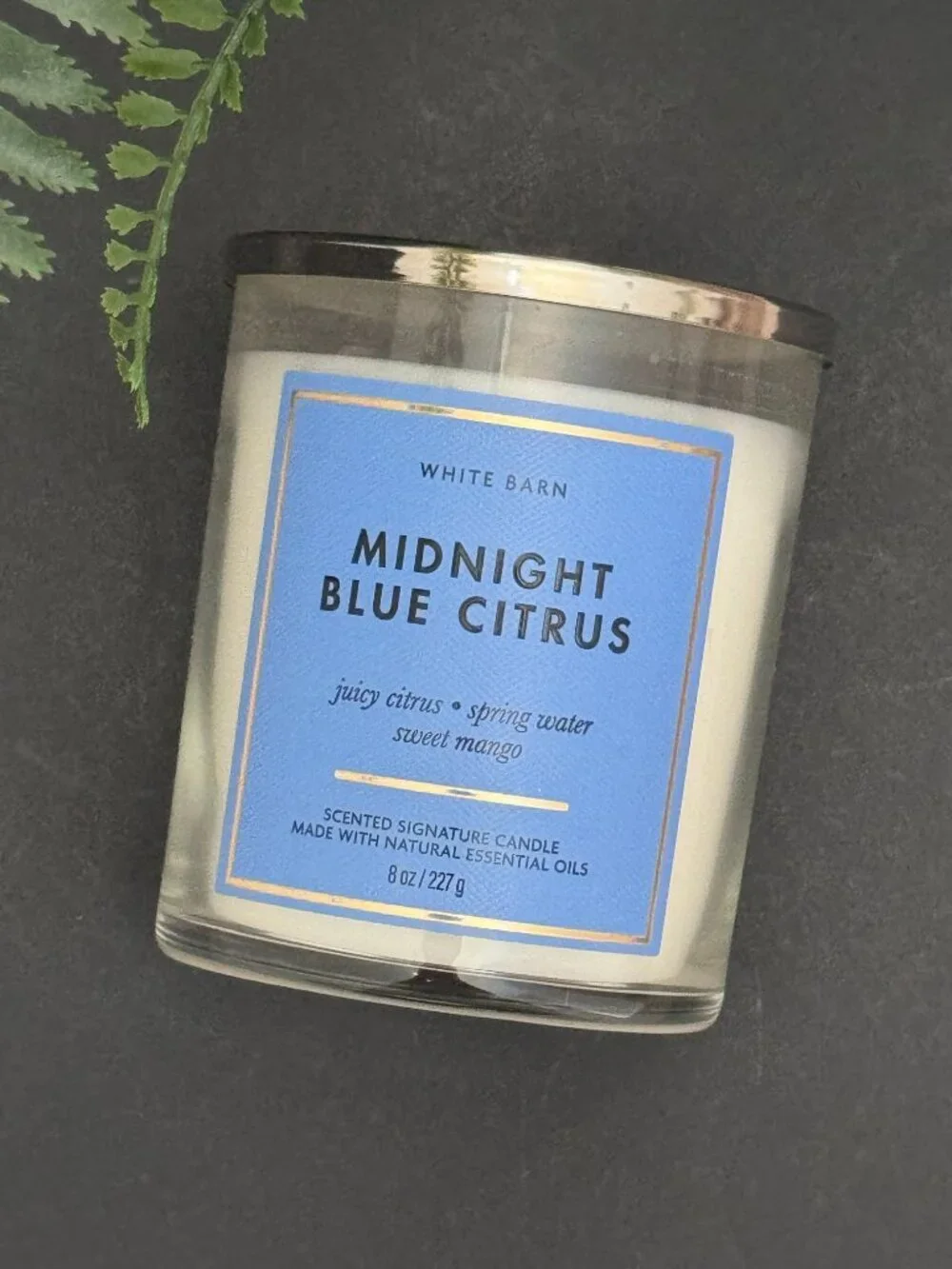 BBW Midnight Blue Citrus White Barn Bath & Body Works Single Wick Candle
